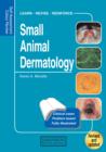 Image for Small animal dermatology