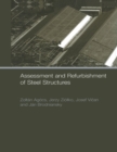 Image for Assessment and refurbishment of steel structures