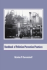 Image for Handbook of pollution prevention practices : 24