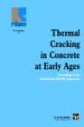 Image for Thermal cracking in concrete at early ages