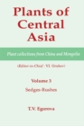 Image for Plants of Central Asia.: (Plant collections from China and Mongolia cyperaceae-junaceae)