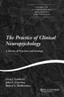 Image for The Practice of Clinical Neuropsychology