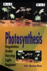 Image for Photosynthesis: regulation under varying light regimes