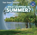 Image for What Happens in Summer?