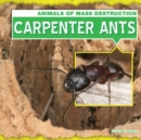 Image for Carpenter Ants