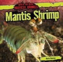 Image for Mantis Shrimp