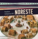 Image for Pueblos indigenas del Noreste (Native Peoples of the Northeast)