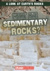 Image for What Are Sedimentary Rocks?