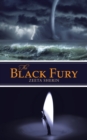 Image for Black Fury