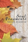 Image for Soul Fragments