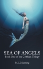 Image for Sea of Angels: Book One of the Crithian Trilogy