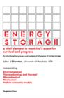 Image for Energy Storage: A Vital Element in Mankind&#39;s Quest for Survival and Progress