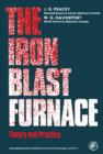 Image for The Iron Blast Furnace: Theory and Practice