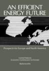 Image for An Efficient Energy Future: Prospects for Europe and North America