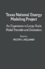 Image for Texas National Energy Modeling Project: An Experience in Large-Scale Model Transfer and Evaluation