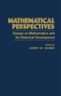 Image for Mathematical perspectives: essays on mathematics and its historical development