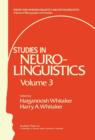 Image for Studies in Neurolinguistics