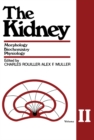 Image for The Kidney: Morphology, Biochemistry, Physiology