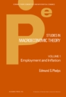 Image for Studies in Macroeconomic Theory: Employment and Inflation