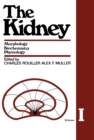 Image for The Kidney: Morphology, Biochemistry, Physiology