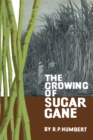 Image for The Growing of Sugar Cane