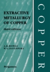 Image for Extractive metallurgy of copper.
