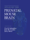 Image for Atlas of the Prenatal Mouse Brain