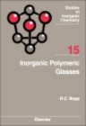Image for Inorganic polymeric glasses.