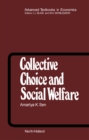 Image for Collective Choice and Social Welfare: Volume 11