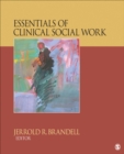 Image for Essentials of clinical social work