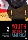 Image for Youth justice in America