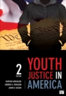 Image for Youth Justice in America