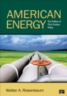 Image for American energy: the politics of 21st century policy