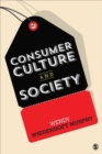 Image for Consumer Culture and Society