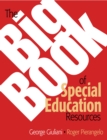 Image for The big book of special education resources