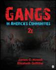 Image for Gangs in America&#39;s Communities