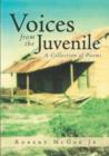 Image for Voices from the Juvenile