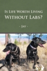 Image for Is Life Worth Living Without Labs?