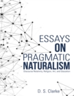 Image for Essays On Pragmatic Naturalism: Discourse Relativity, Religion, Art, and Education