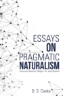 Image for Essays on Pragmatic Naturalism : Discourse Relativity, Religion, Art, and Education