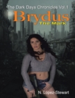 Image for Brydus the Mark: The Dark Days Chronicles Vol.1