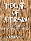 Image for House of Straw: A Book for Men On Separation and Divorce