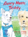 Image for Benny Meets Teddy