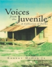 Image for Voices from the Juvenile: A Collection of Poems