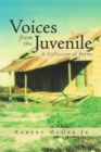 Image for Voices from the Juvenile