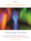 Image for Angels Please! (Book 6): Photos of Angels, Orbs &amp; More