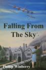 Image for Falling From The Sky
