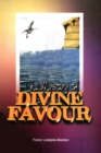 Image for Mystery of Divine Favour