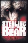 Image for Stealing from the Bear