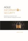 Image for Agile Information Security: Using Scrum to Survive in and Secure a Rapidly Changing Environment